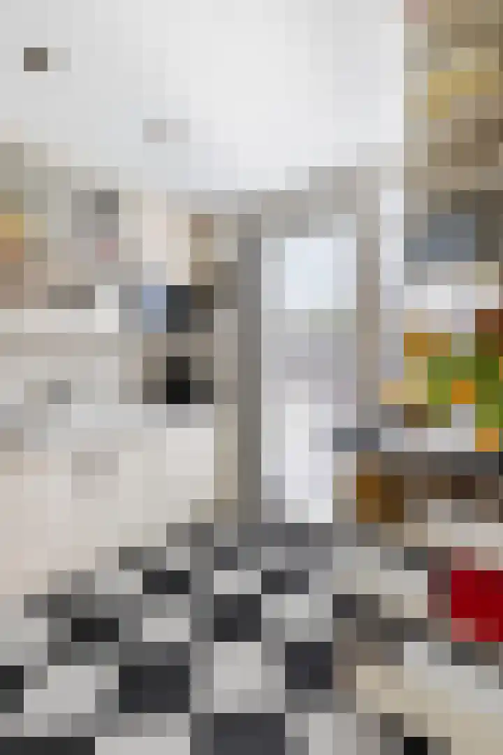 Mauritshoek 7 Ridderkerk thumbnail 11