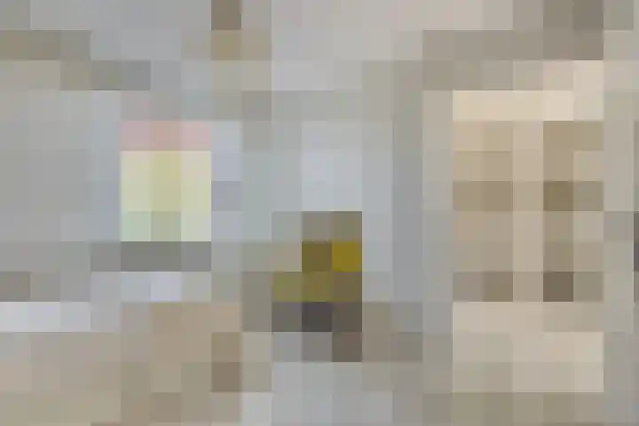 Mauritshoek 7 Ridderkerk thumbnail 14