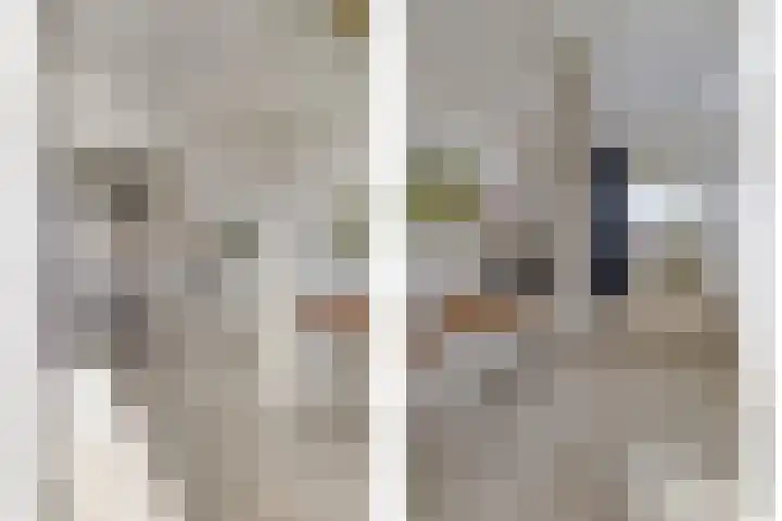 Mauritshoek 7 Ridderkerk thumbnail 15