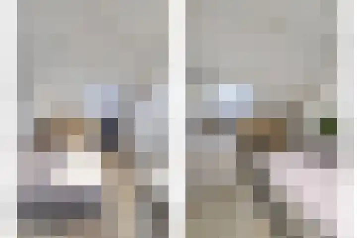Mauritshoek 7 Ridderkerk thumbnail 17
