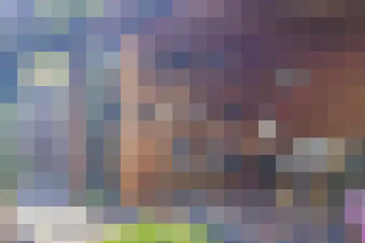 Mauritshoek 7 Ridderkerk thumbnail 18