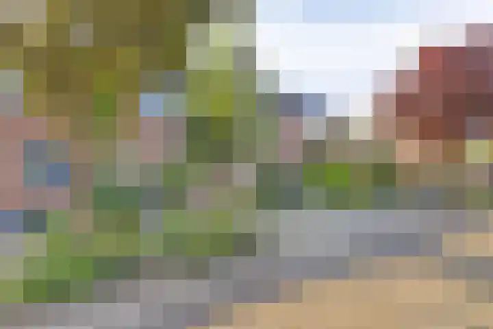 Mauritshoek 7 Ridderkerk thumbnail 22