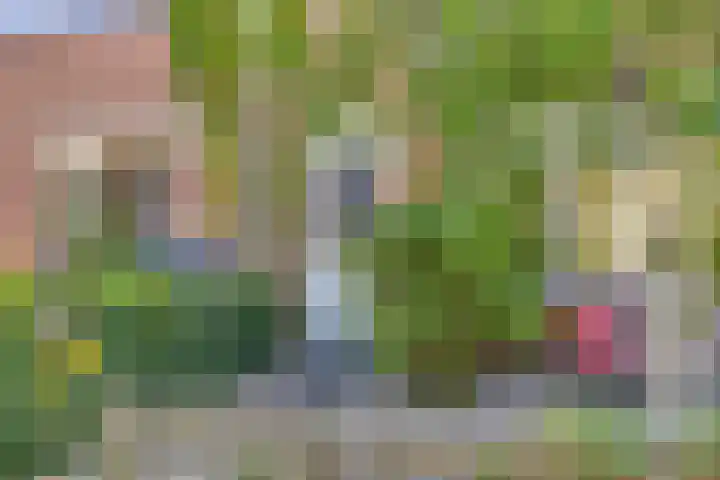 Mauritshoek 7 Ridderkerk thumbnail 4