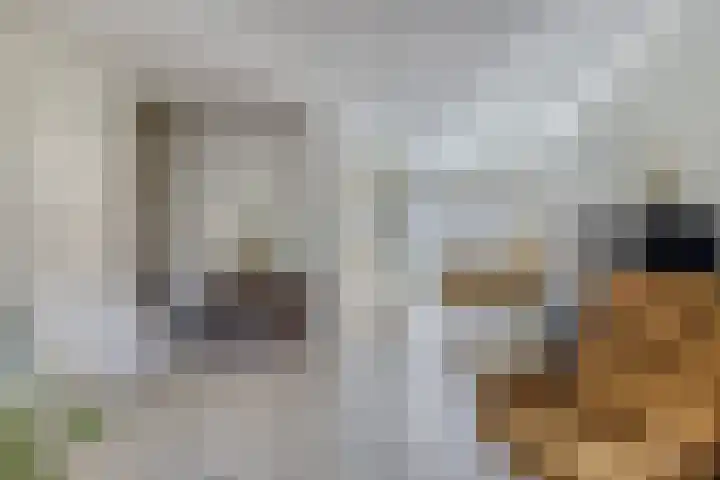 Mauritshoek 7 Ridderkerk thumbnail 5