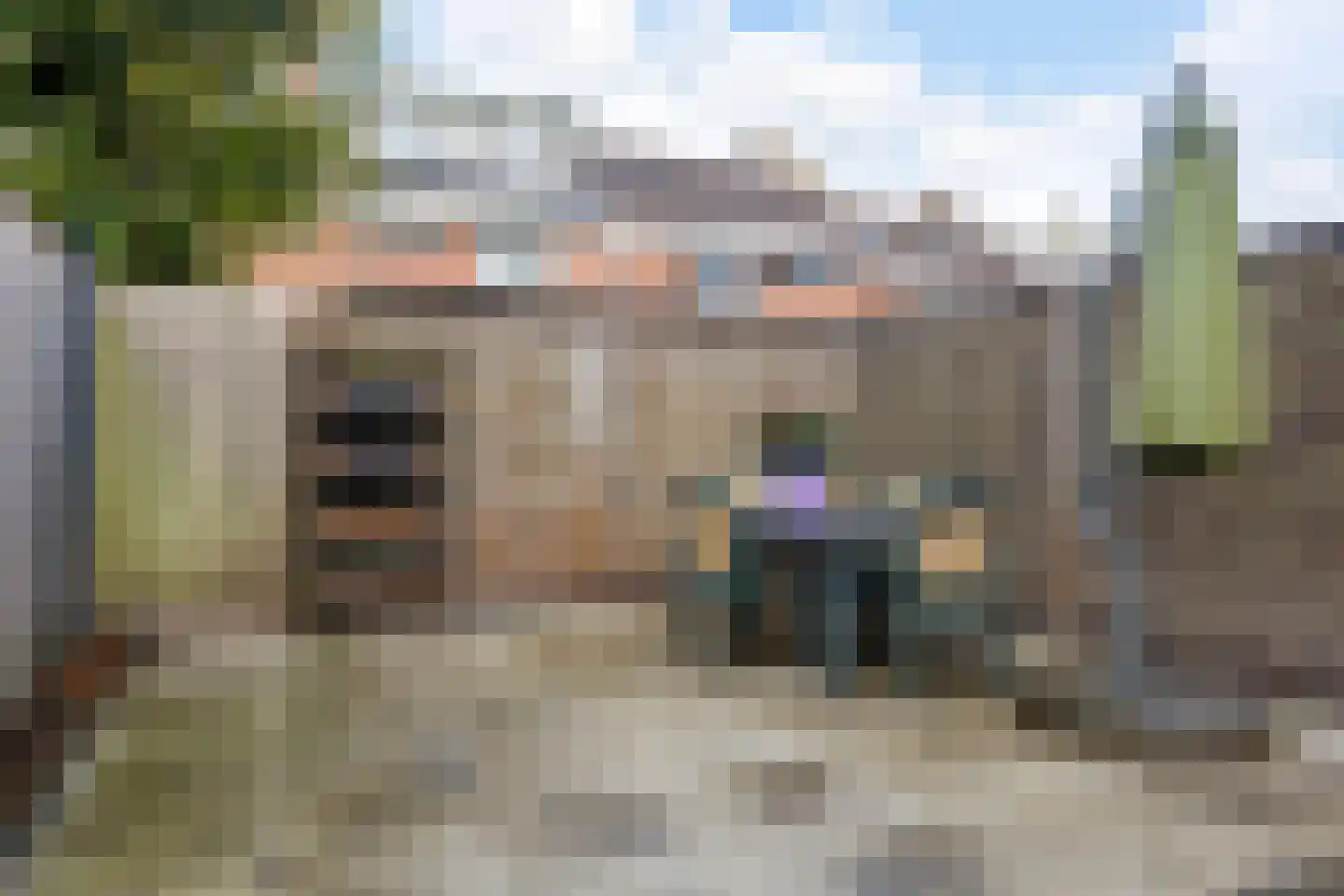 Mauritshof 112 Harmelen thumbnail 12