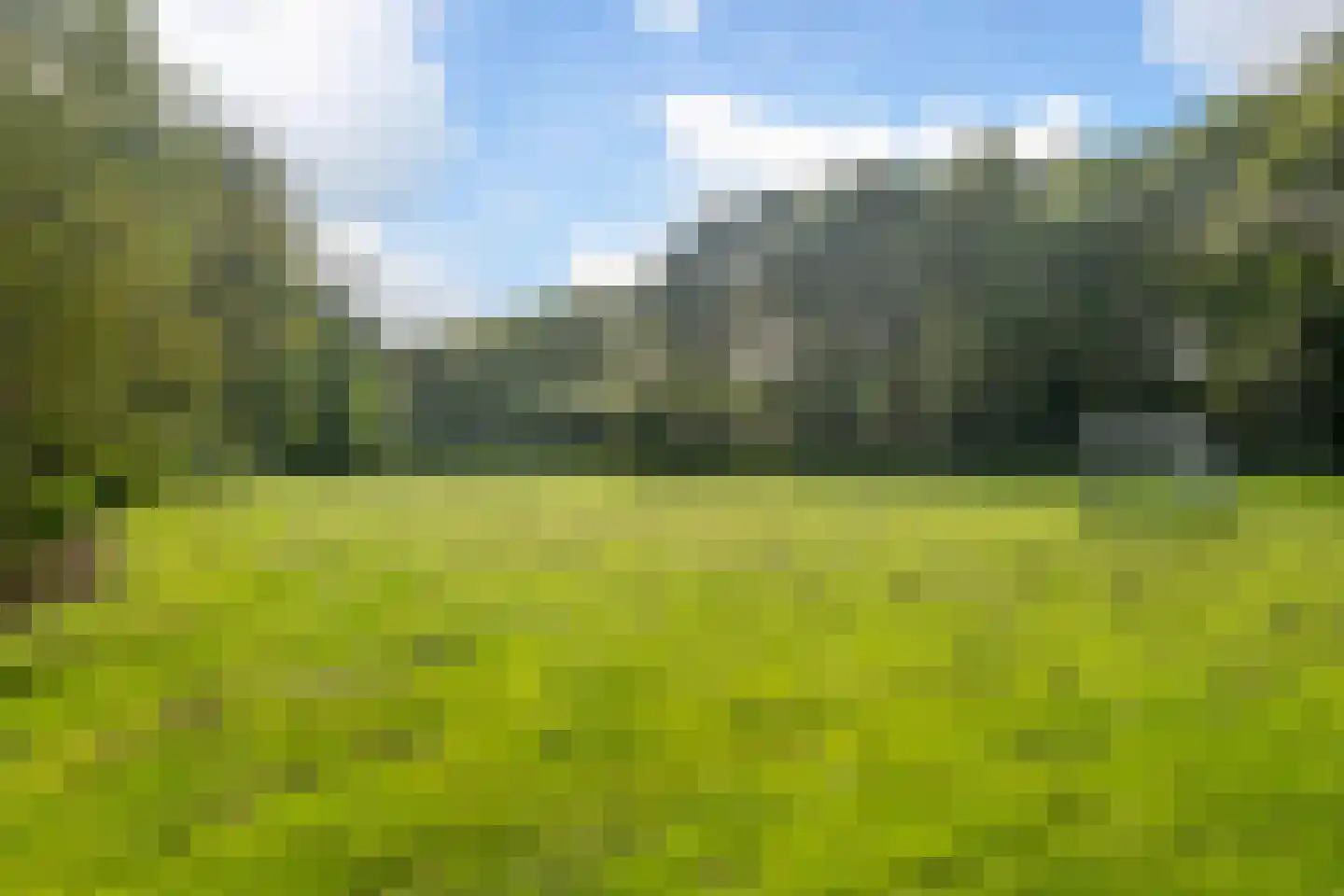 Mauritshof 112 Harmelen thumbnail 34
