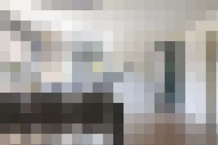 Mauritshof 12 Vriezenveen thumbnail 12
