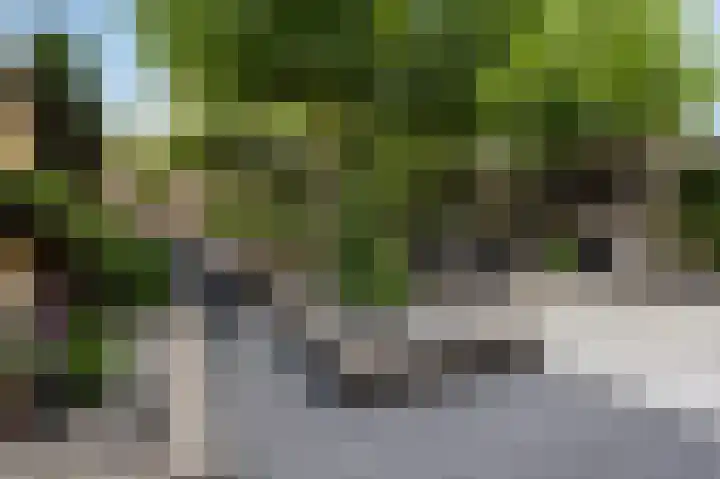 Mauritshof 12 Vriezenveen thumbnail 21