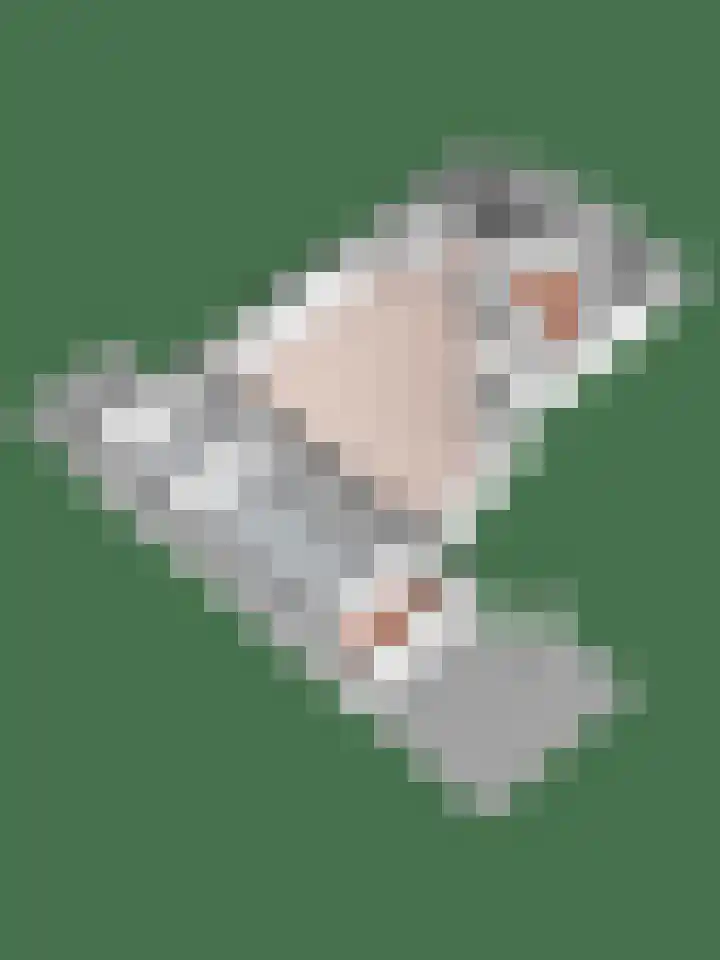 Mauritshof 12 Vriezenveen thumbnail 50