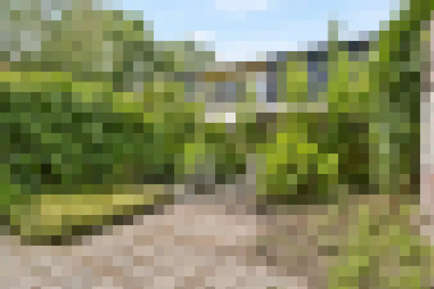Mauritshof 142 Harmelen thumbnail 17