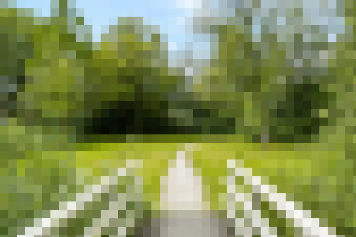 Mauritshof 142 Harmelen thumbnail 34
