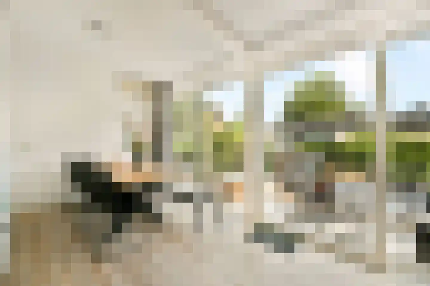Mauritshof 142 Harmelen thumbnail 5