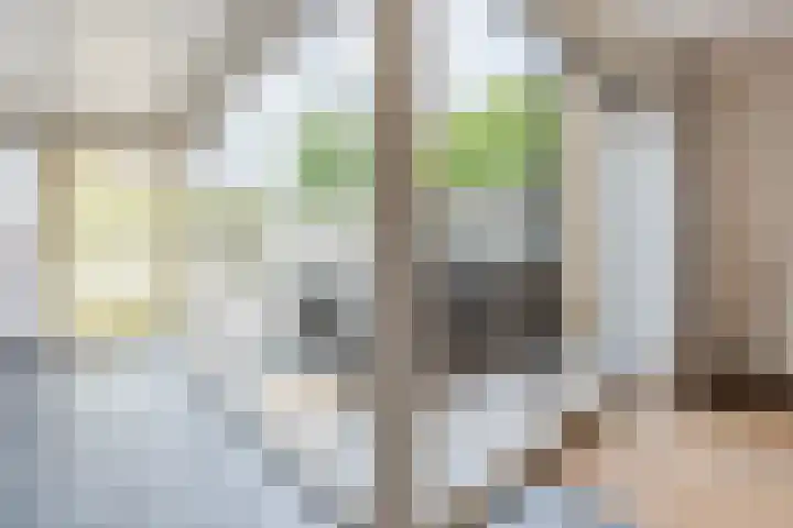 Mauritshof 23 Vriezenveen thumbnail 13
