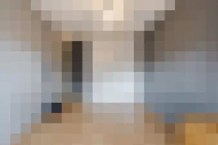 Mauritshof 23 Vriezenveen thumbnail 20