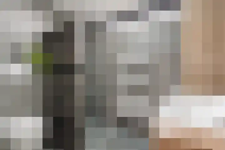 Mauritshof 23 Vriezenveen thumbnail 22