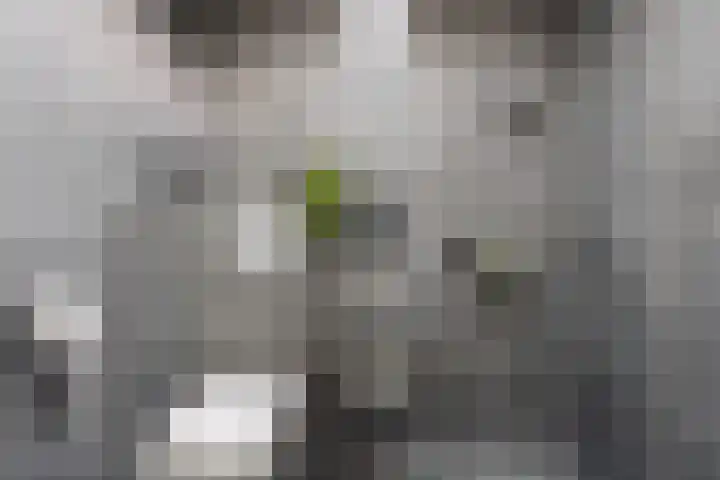 Mauritshof 23 Vriezenveen thumbnail 23