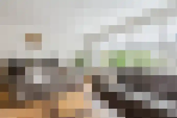 Mauritshof 23 Vriezenveen thumbnail 6