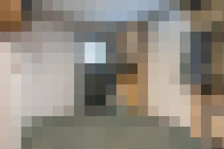 Mauritshof 4 Vriezenveen thumbnail 17