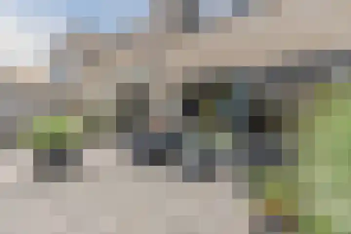 Mauritshof 4 Vriezenveen thumbnail 39