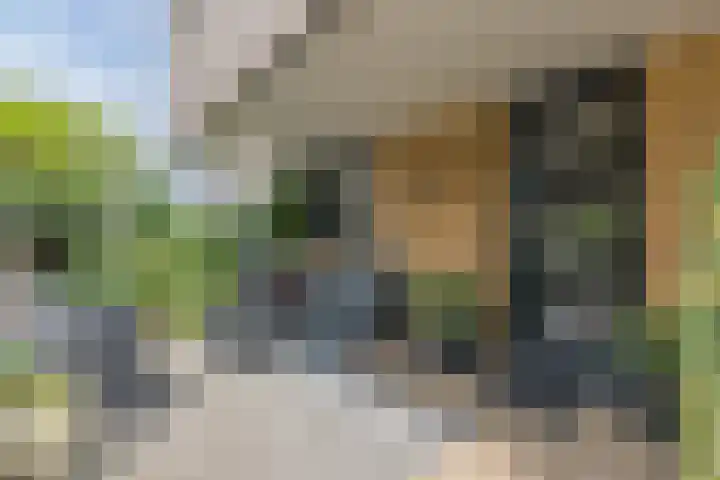 Mauritshof 4 Vriezenveen thumbnail 5