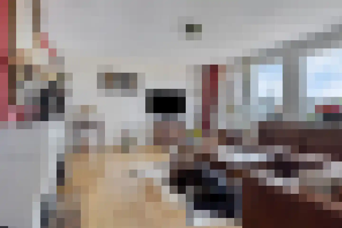 Mauritshof 40 Wassenaar thumbnail 6