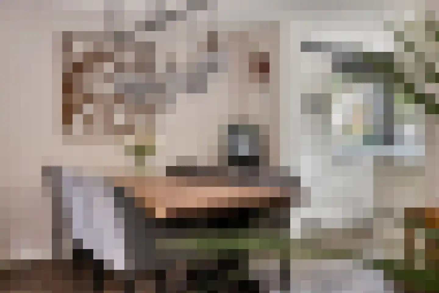 Mauritshof 8 Vriezenveen thumbnail 10
