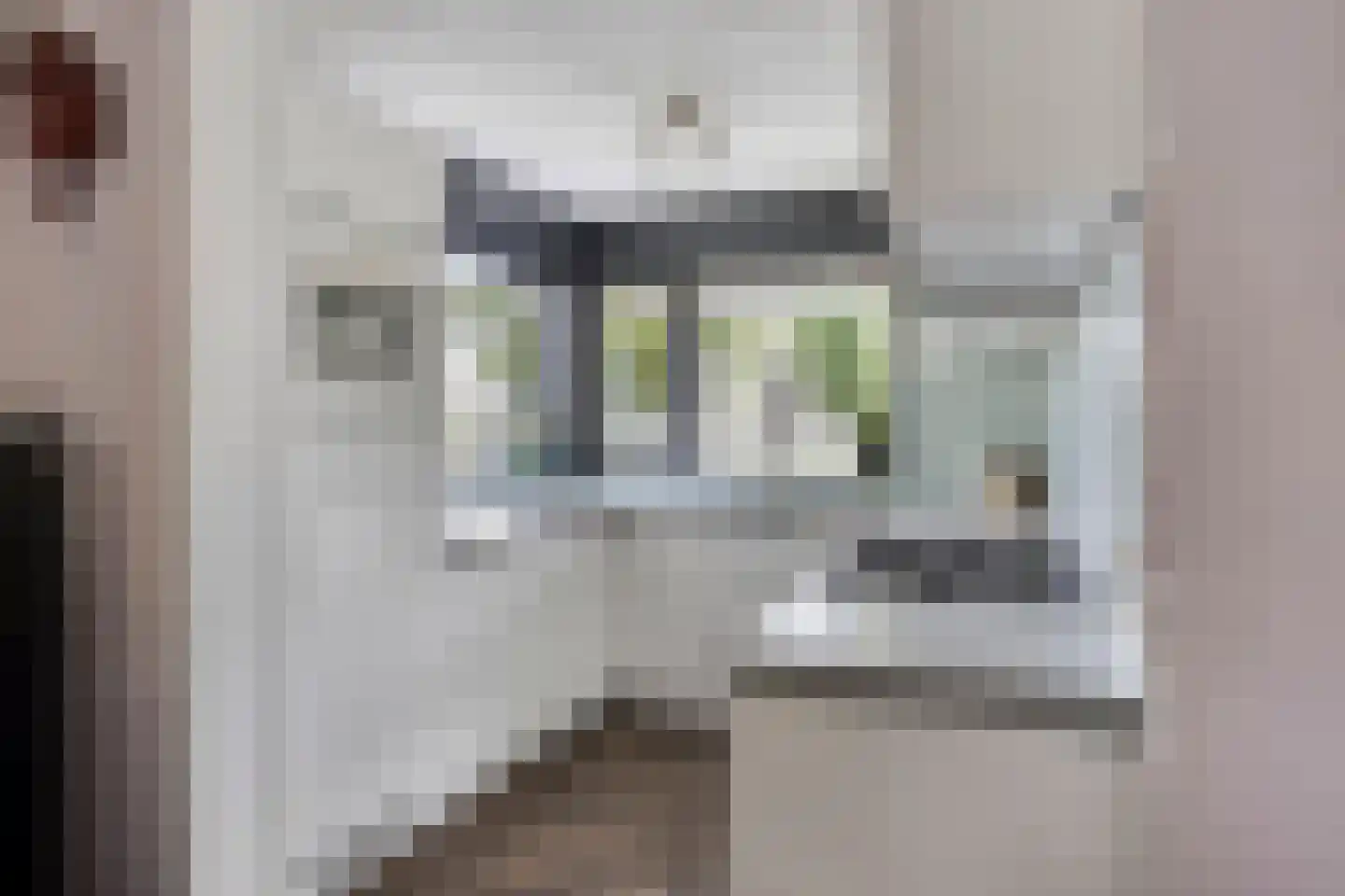 Mauritshof 8 Vriezenveen thumbnail 12