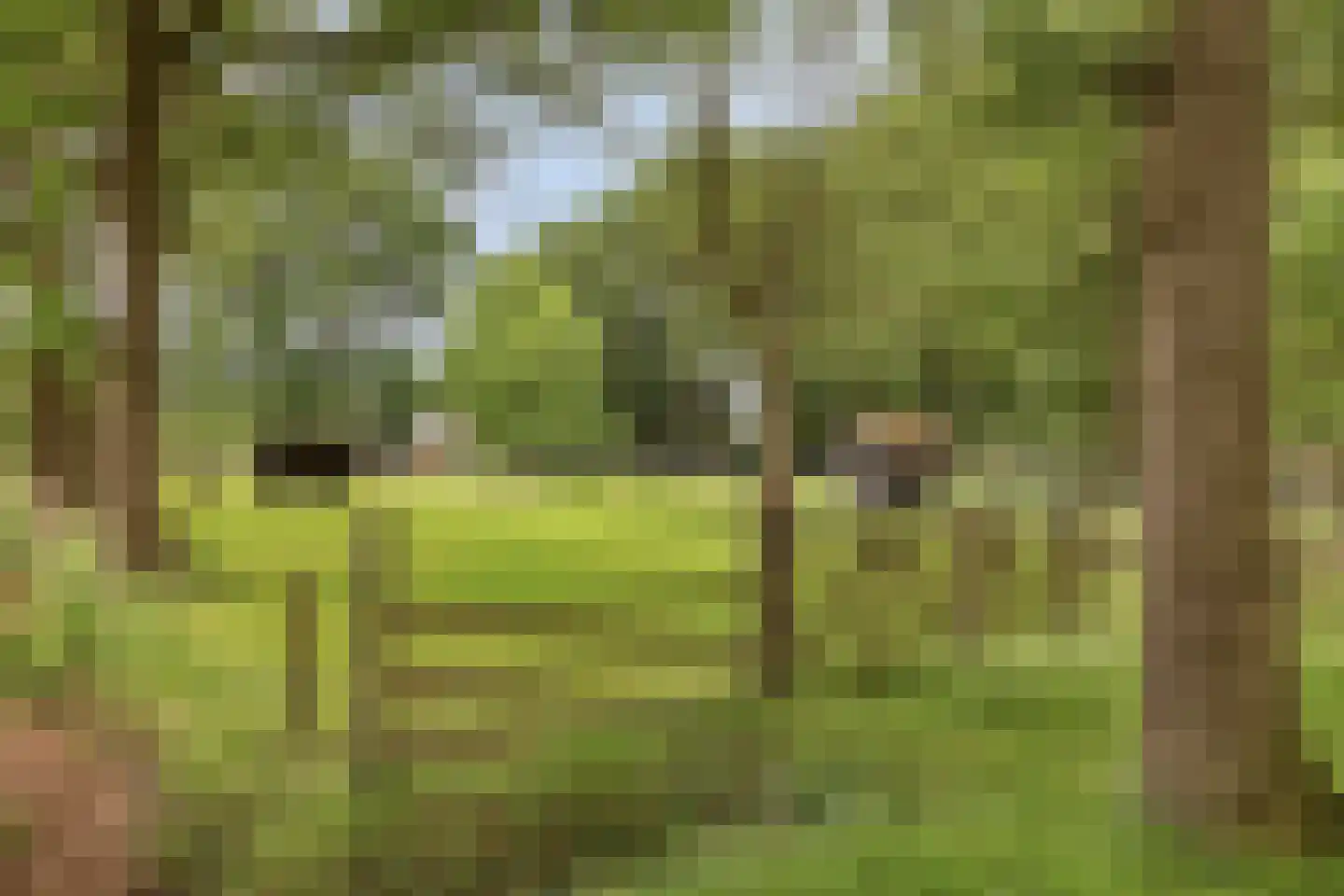 Mauritshof 8 Vriezenveen thumbnail 34