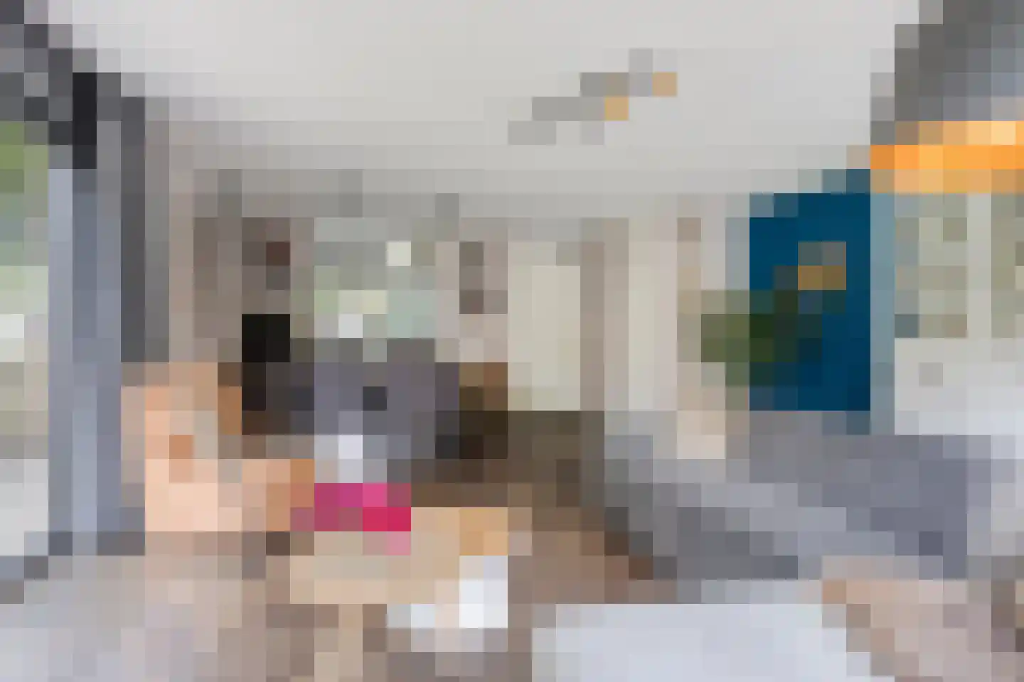 Mauritshof 8 Vriezenveen thumbnail 9