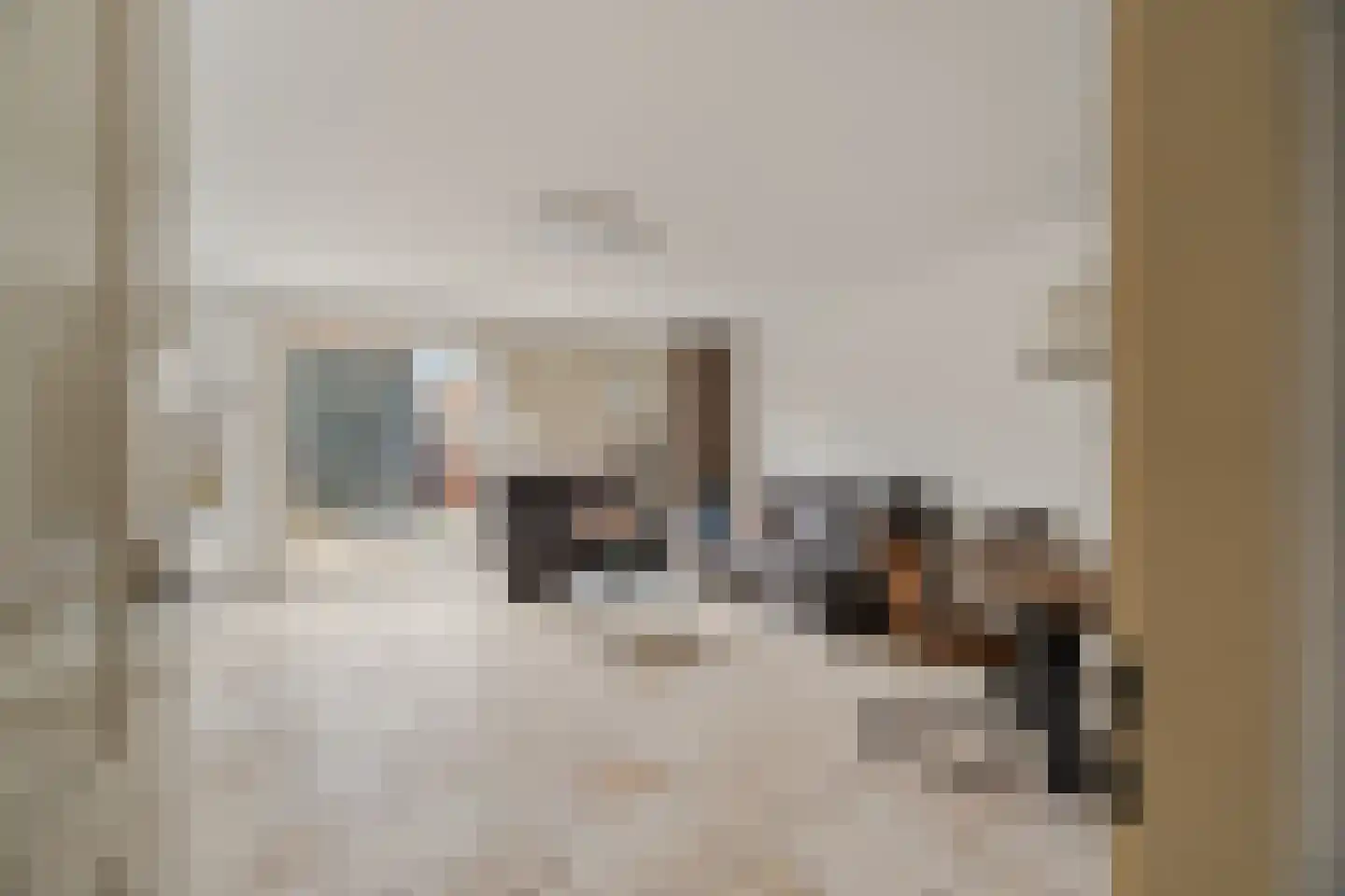 Mauritshuis 23 Capelle aan den IJssel thumbnail 10