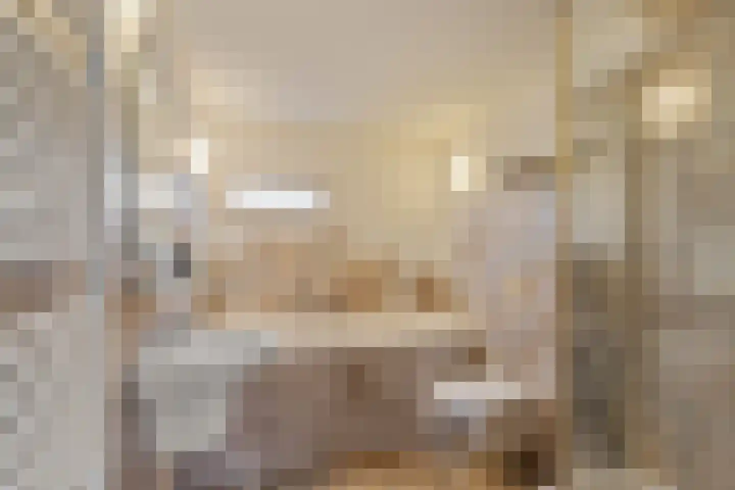 Mauritshuis 23 Capelle aan den IJssel thumbnail 13