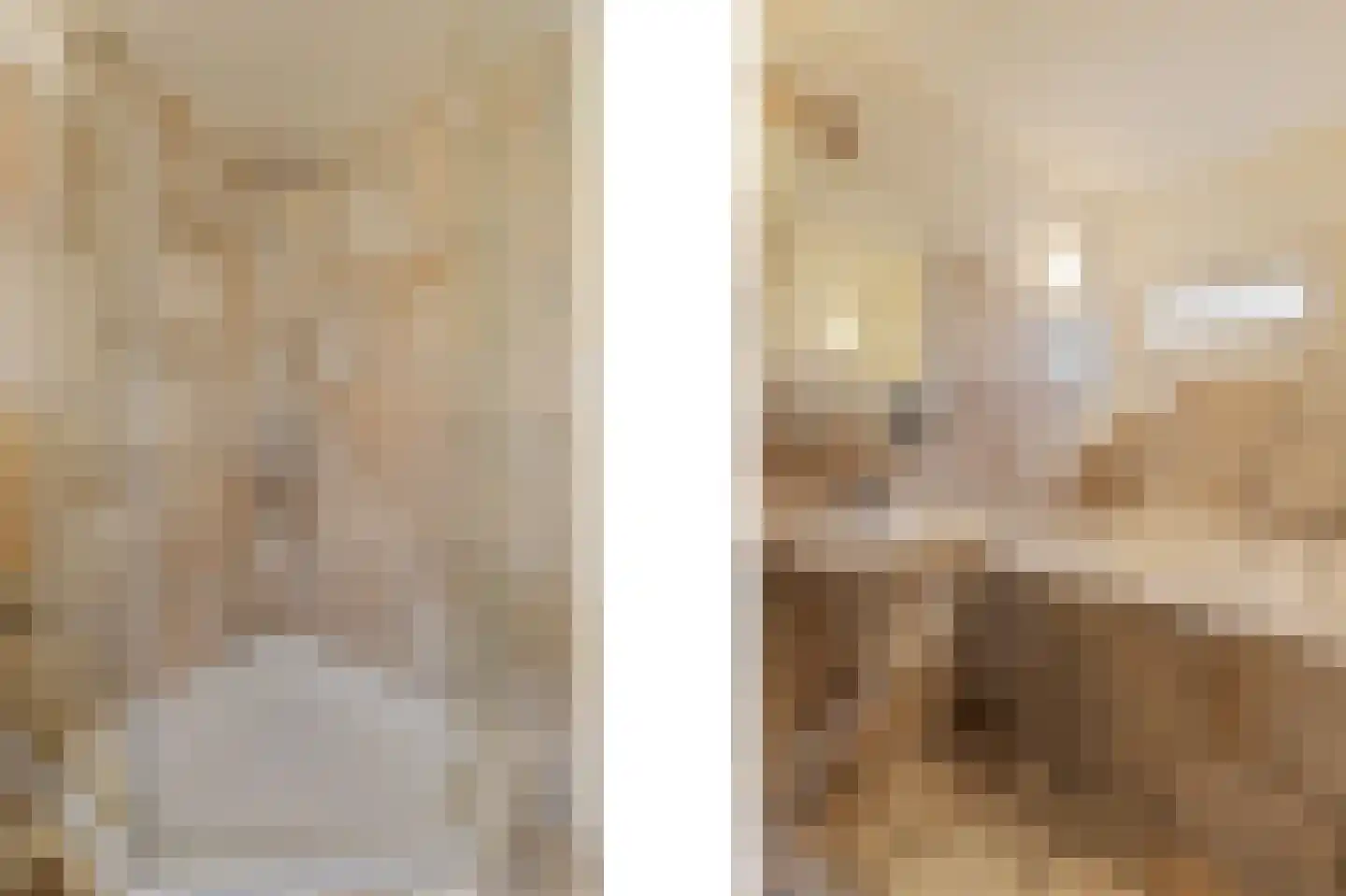 Mauritshuis 23 Capelle aan den IJssel thumbnail 14