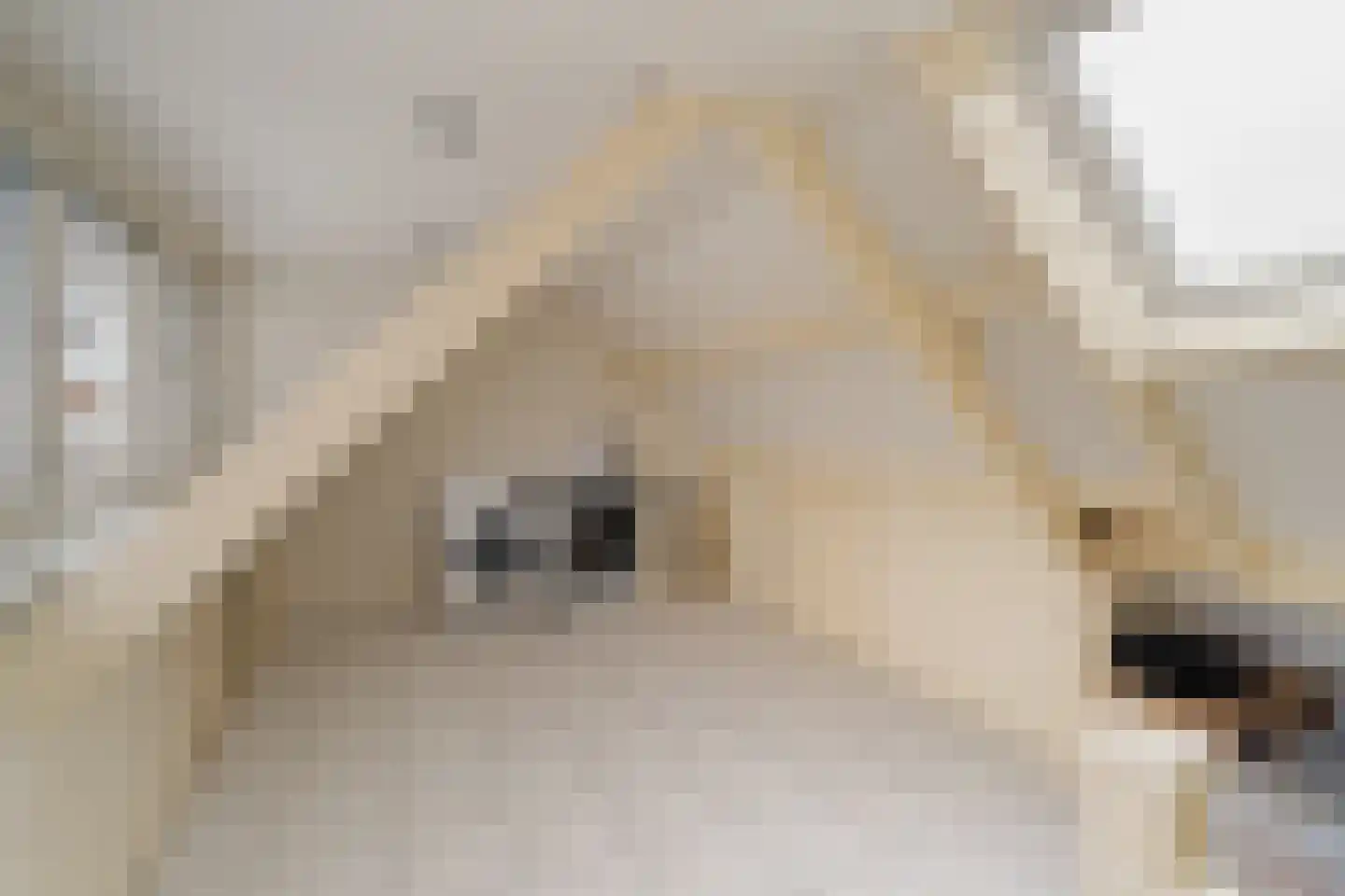 Mauritshuis 23 Capelle aan den IJssel thumbnail 21