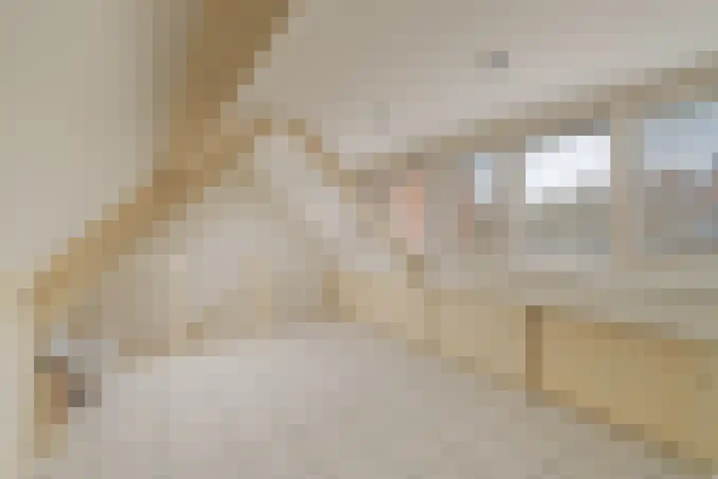 Mauritshuis 23 Capelle aan den IJssel thumbnail 22