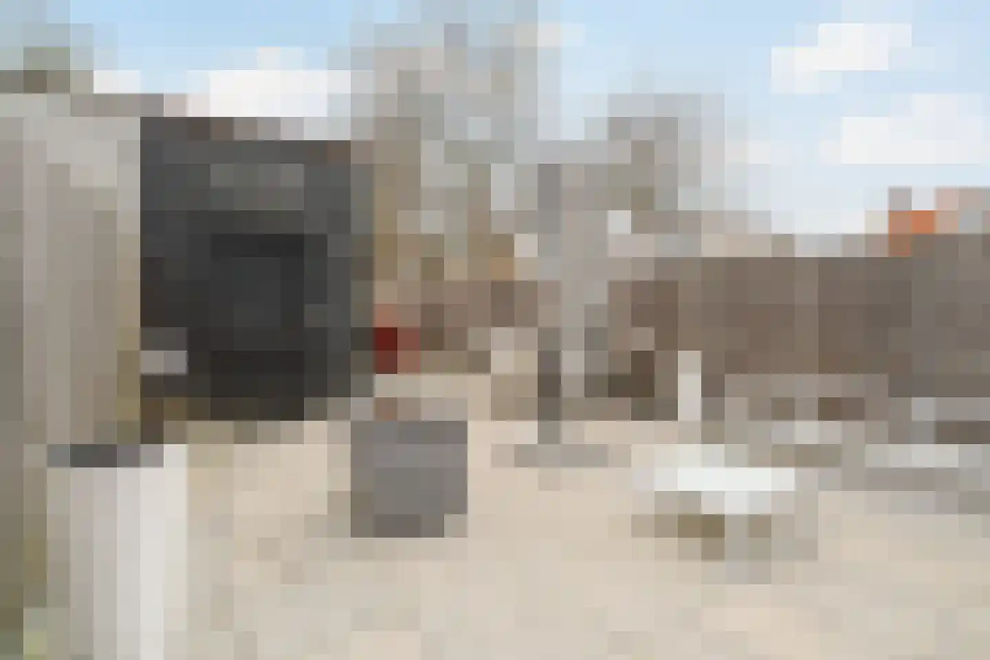 Mauritshuis 23 Capelle aan den IJssel thumbnail 23