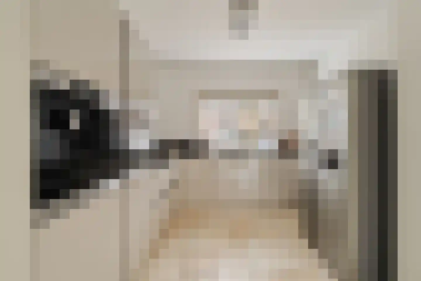 Mauritshuis 23 Capelle aan den IJssel thumbnail 4