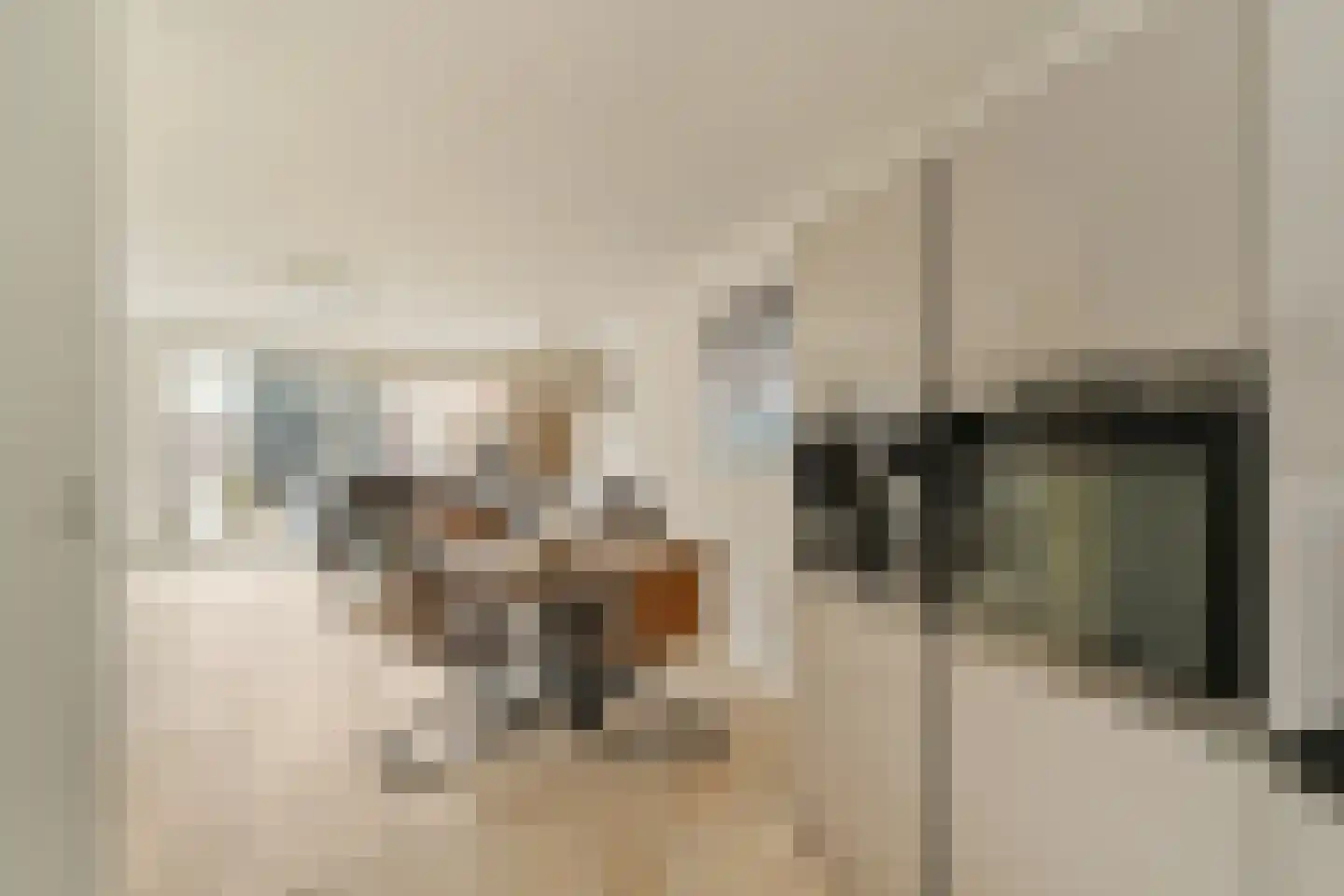Mauritshuis 23 Capelle aan den IJssel thumbnail 6