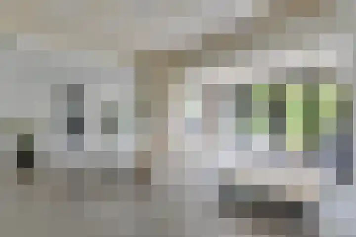 Mauritskade 18 Alkmaar thumbnail 12
