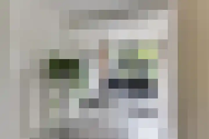 Mauritskade 18 Alkmaar thumbnail 13