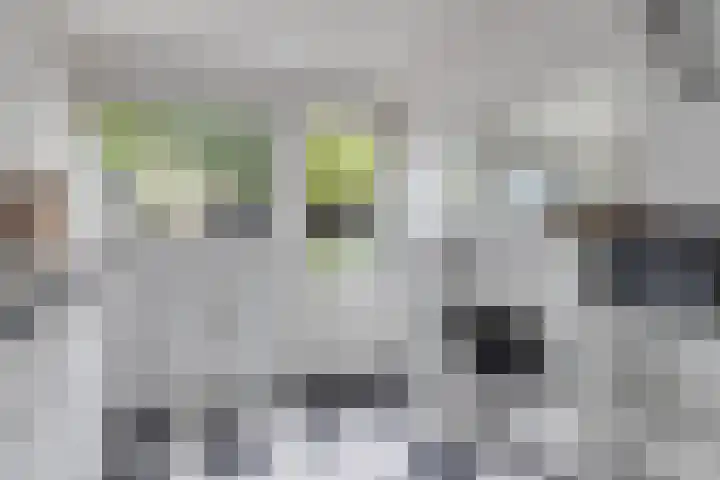 Mauritskade 18 Alkmaar thumbnail 17