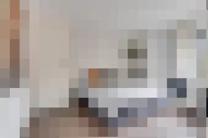 Mauritskade 18 Alkmaar thumbnail 20
