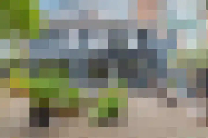 Mauritskade 18 Alkmaar thumbnail 4