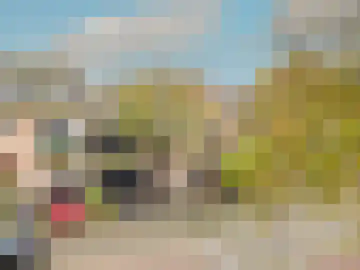 Mauritskade 18 Alkmaar thumbnail 5