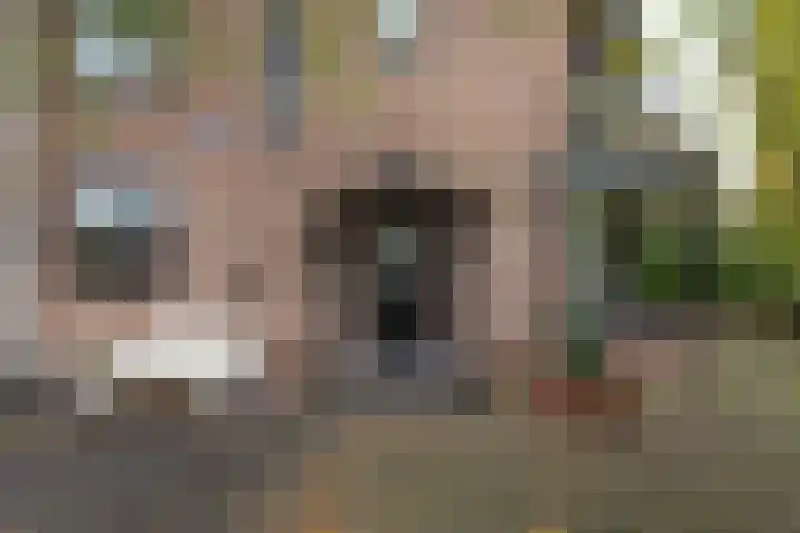 Mauritskade 18 Alkmaar thumbnail 6