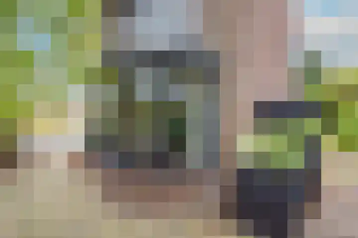 Mauritskade 18 Alkmaar thumbnail 7