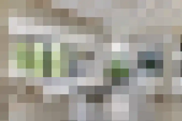 Mauritskade 18 Alkmaar thumbnail 9