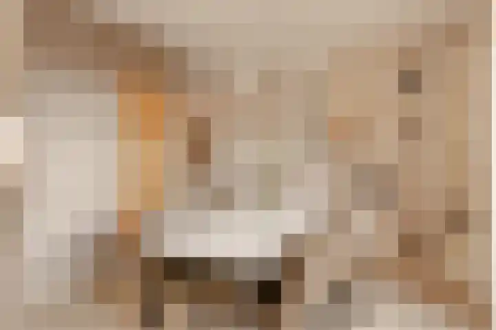 Mauritskade 21 C Amsterdam thumbnail 14