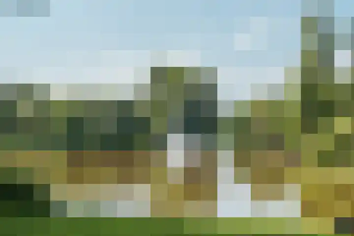Mauritskade 21 C Amsterdam thumbnail 25