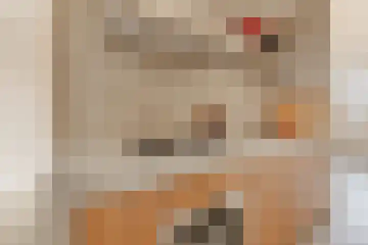 Mauritskade 21 C Amsterdam thumbnail 8
