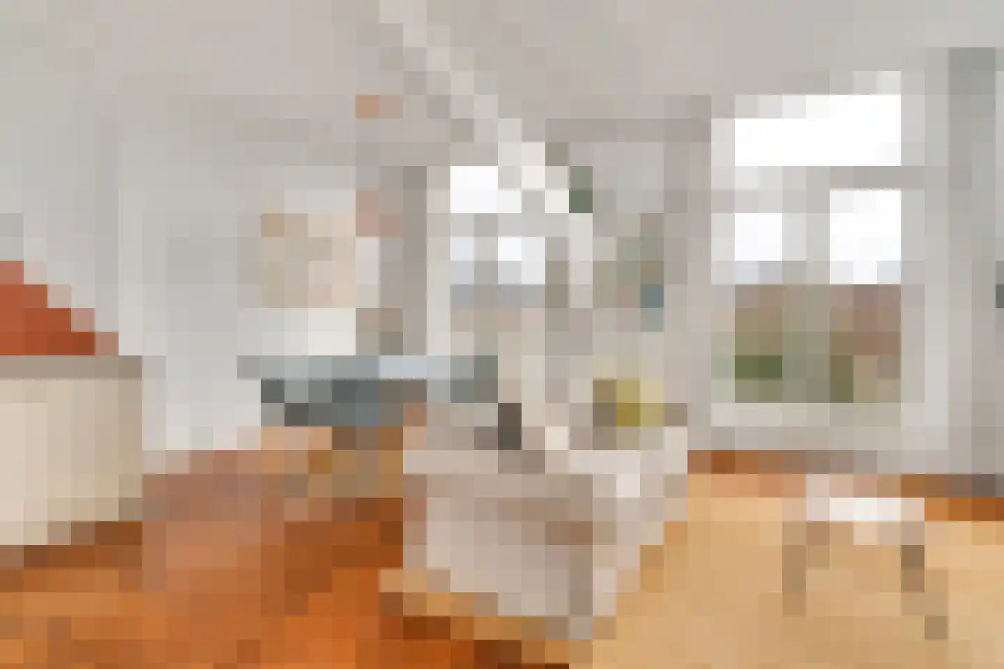Mauritskade 45 E Den Haag thumbnail 12